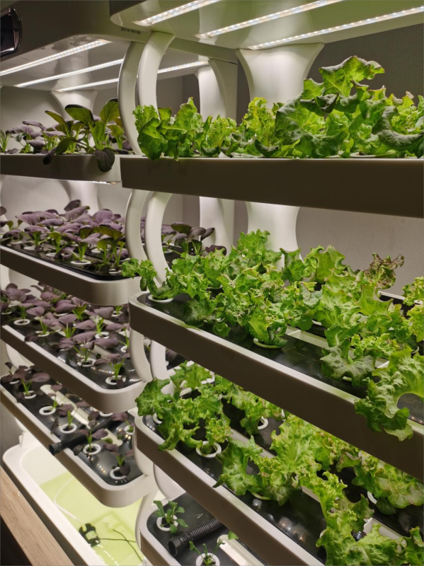 kappframework-TLepgY(1)(1).png kappframework-TLepgY(1)(1).png